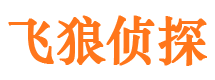 解放侦探公司